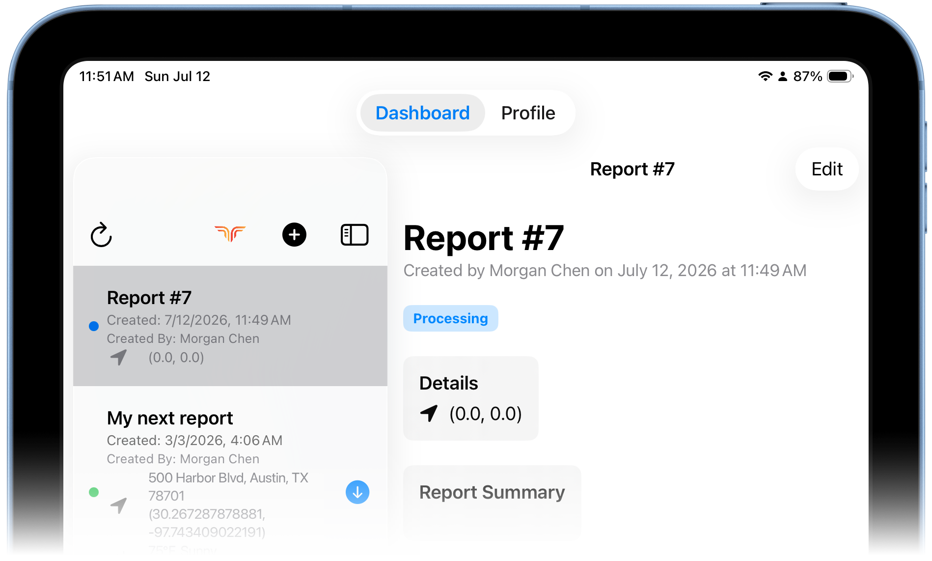 Report processing status